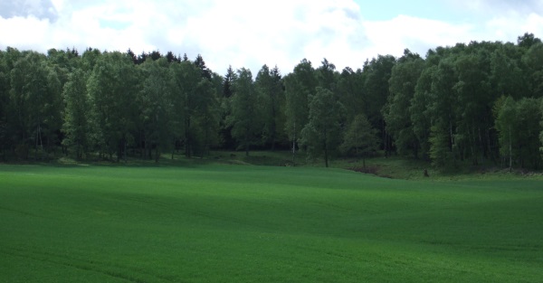 Buchenwälder von Åkulla